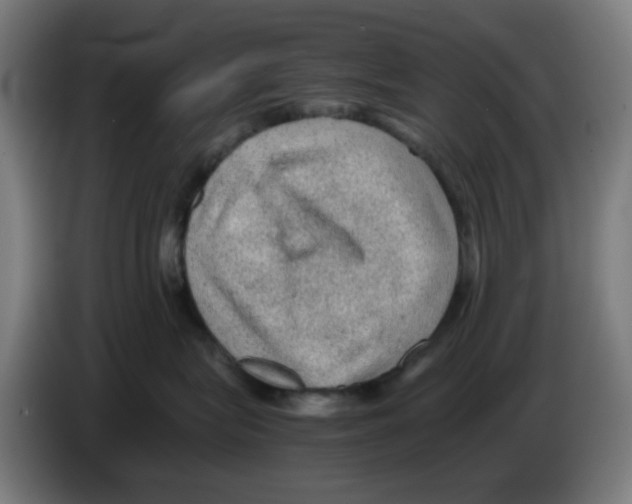 X0000086230575200704261858