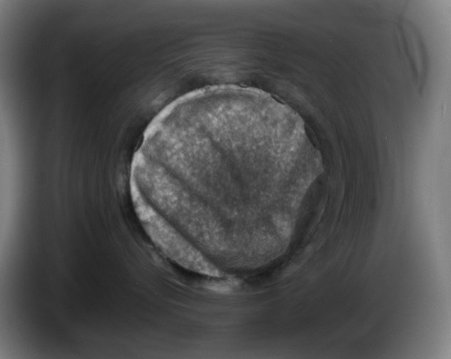 X0000086230576200704261858