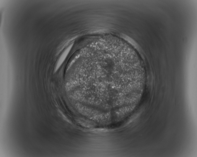 X0000086230577200704261858