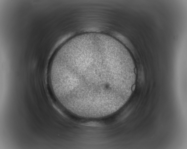 X0000086230578200704261858