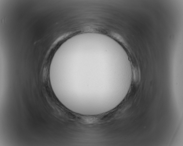 X0000086230579200704261858