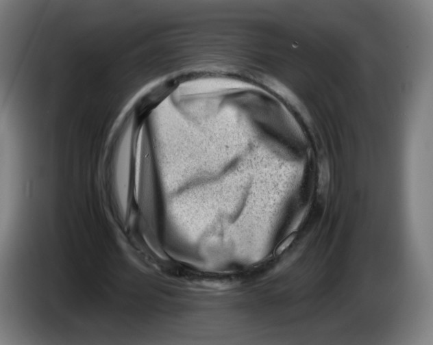 X0000086230580200704261858