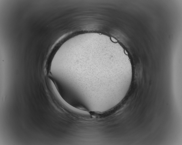 X0000086230584200704261858