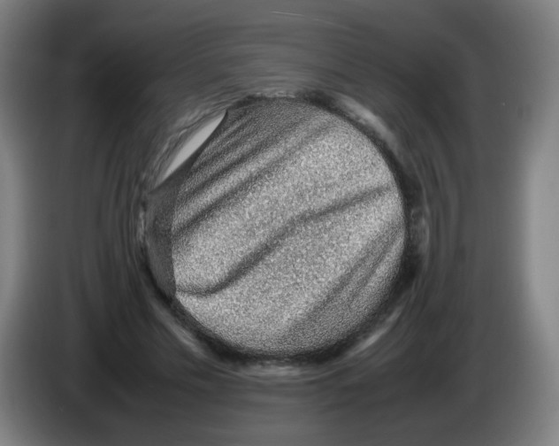 X0000086230589200704261858