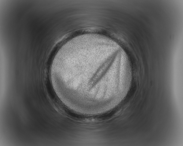 X0000086230591200704261858