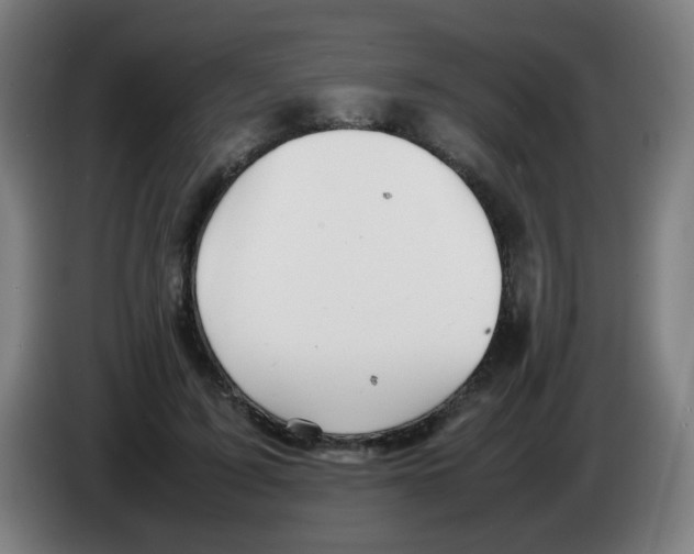 X0000086230595200704261858