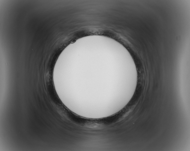 X0000086230597200704261858