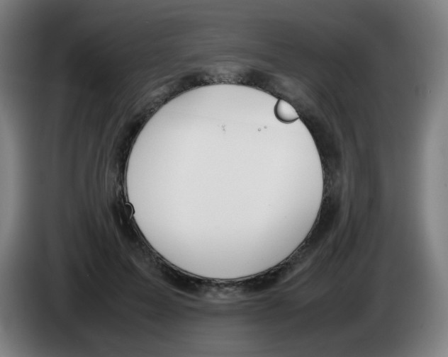 X0000086230599200704261858