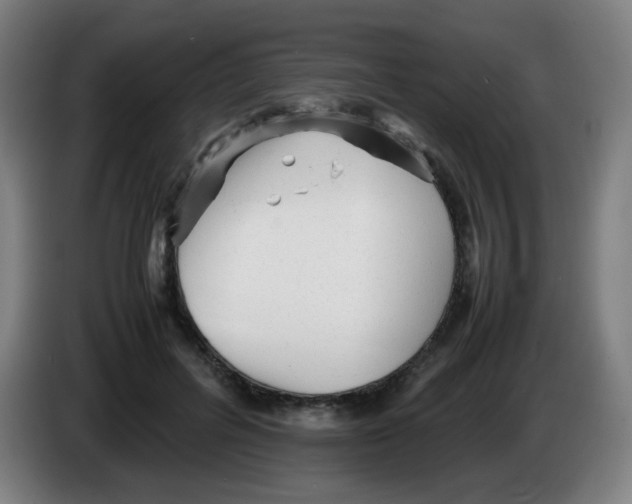 X0000086230600200704261858