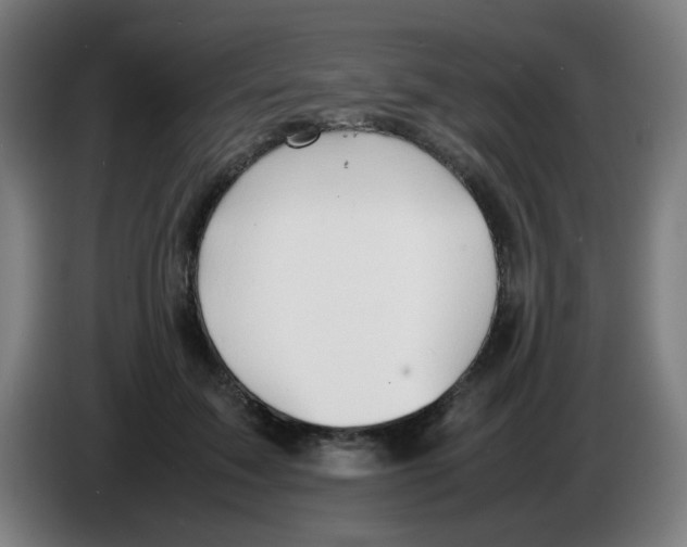 X0000086230603200704261857