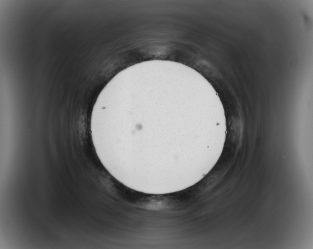 X0000086230612200704261857