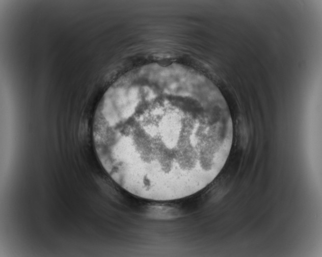 X0000086230614200704261857