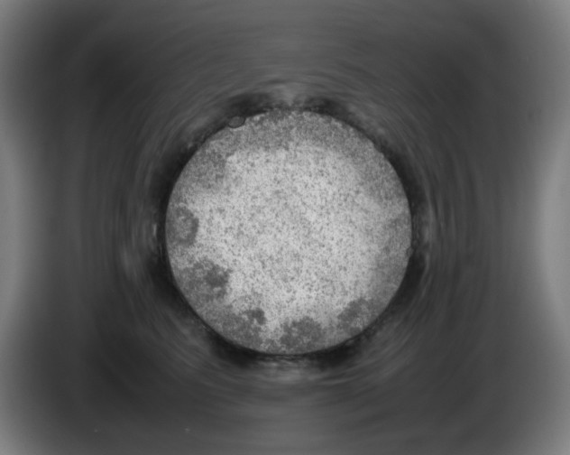 X0000086230615200704261857