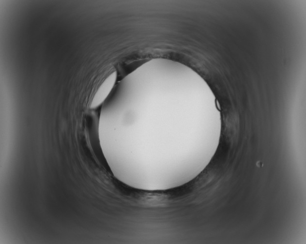 X0000086230617200704261857