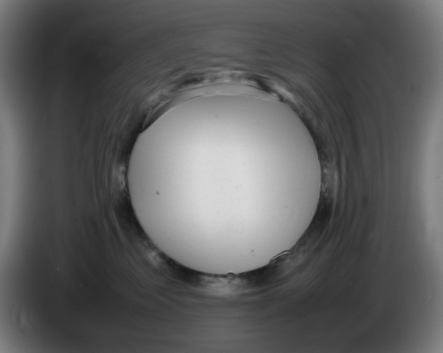 X0000086230621200704261857