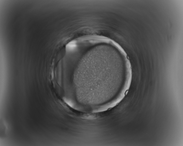 X0000086230624200704261857