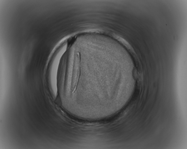 X0000086230628200704261857