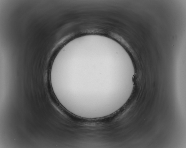 X0000086230629200704261857