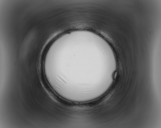 X0000086230630200704261857