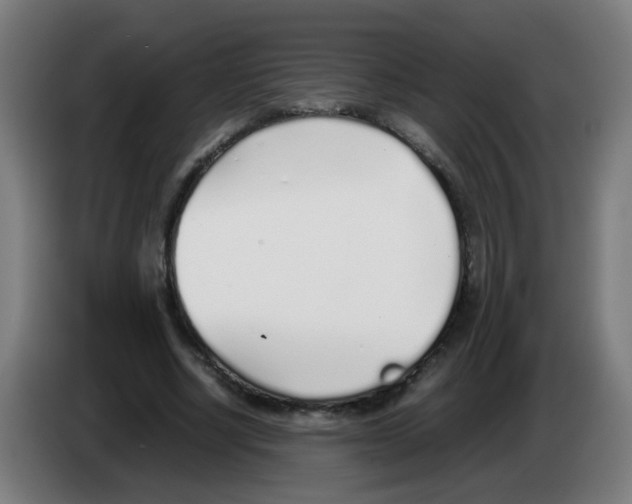 X0000086230634200704261857