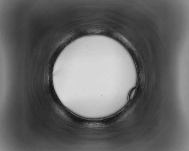 X0000086230637200704261857