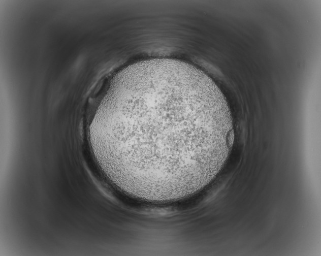 X0000086230638200704261857