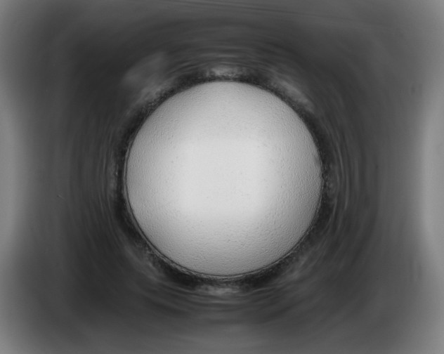 X0000086230639200704261857