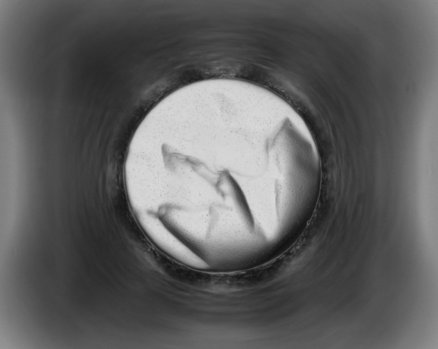 X0000086230641200704261857