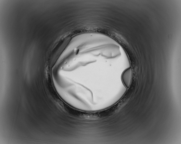 X0000086230644200704261857