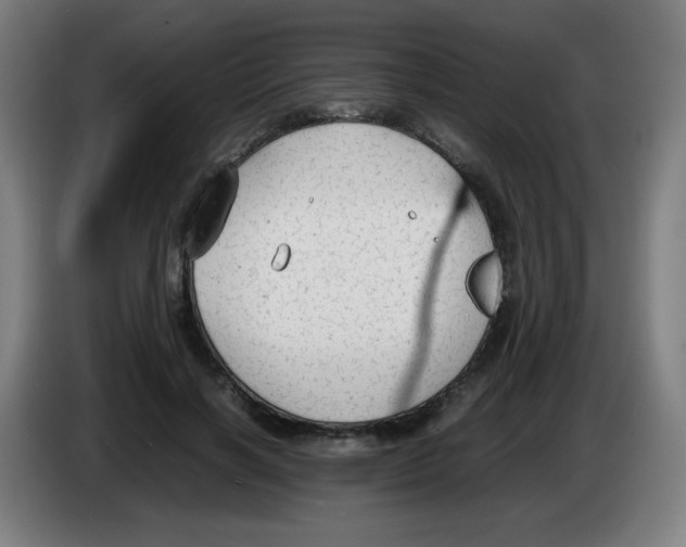 X0000086230646200704261857