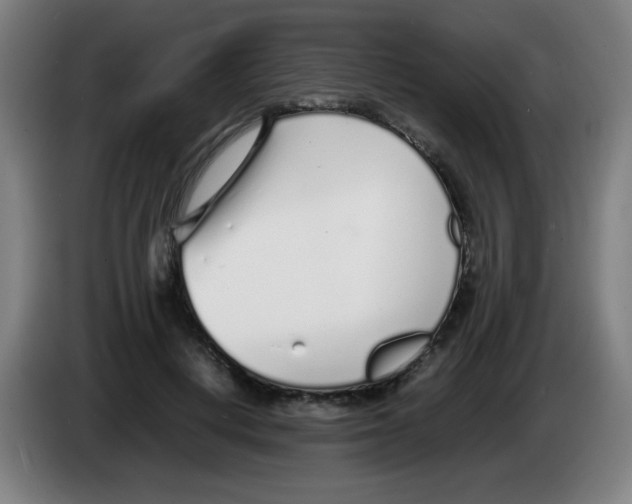 X0000086230648200704261857