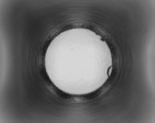 X0000086230654200704261857