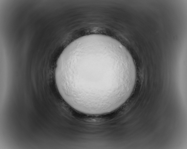 X0000086230657200704261857