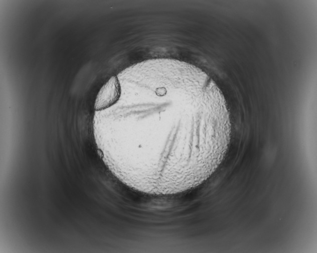 X0000086230659200704261857