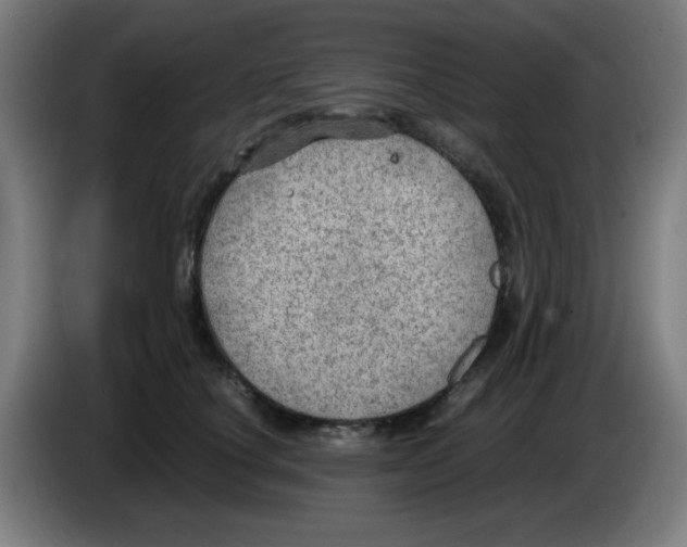 X0000086230660200704261857