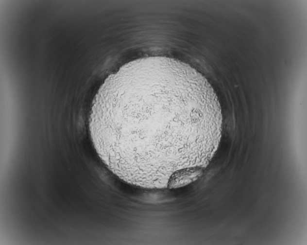 X0000086230662200704261857