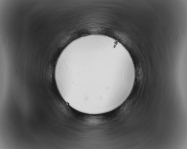 X0000086230664200704261857