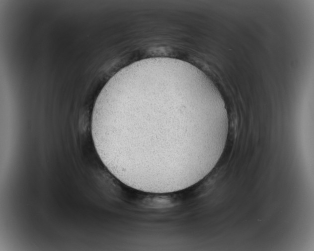 X0000086230665200704261857