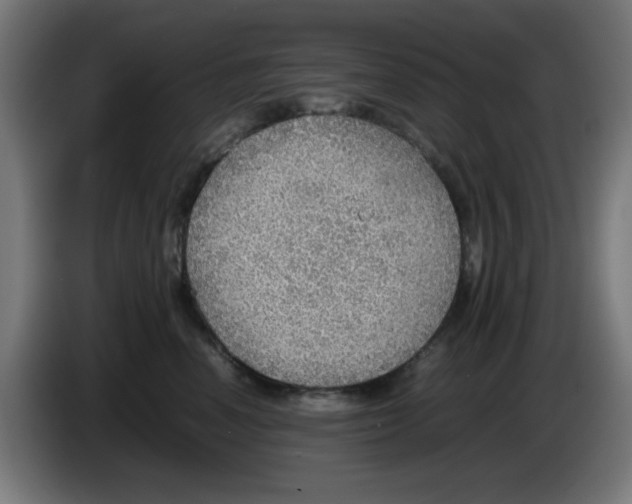 X0000086230666200704261857