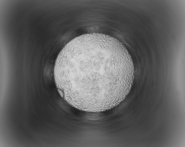 X0000086230671200704261857