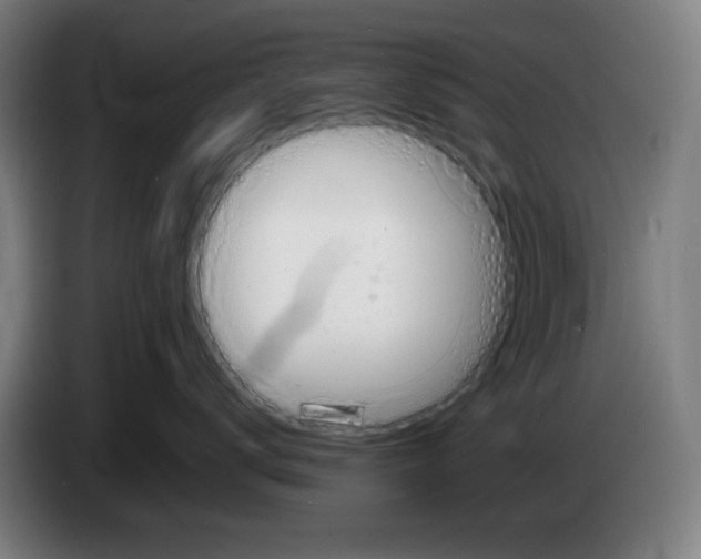 X0000086230672200704261857