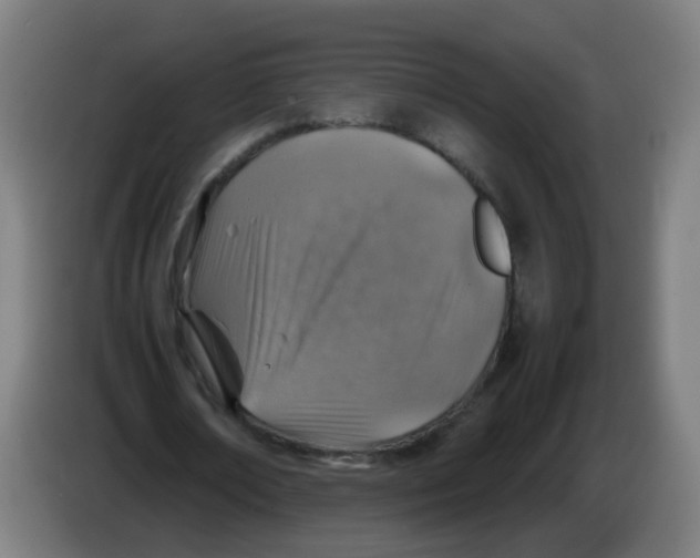 X0000086230674200704261857