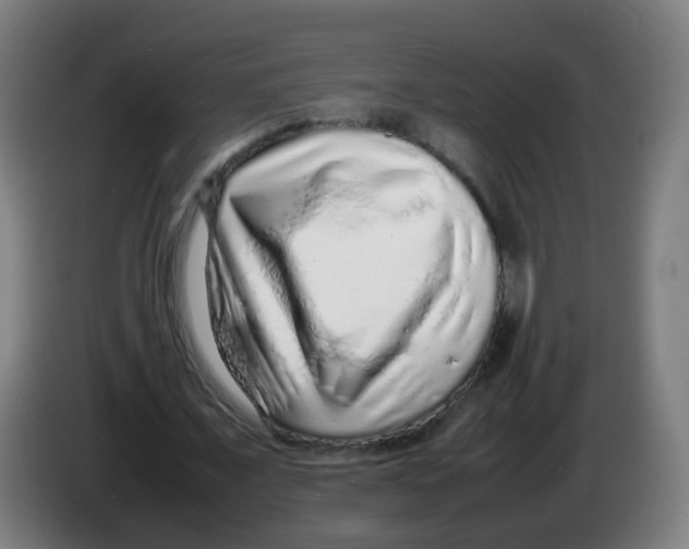 X0000086230675200704261857