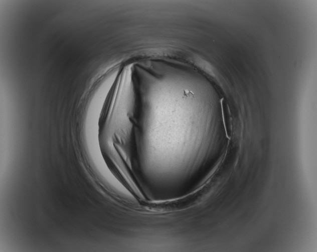 X0000086230677200704261857