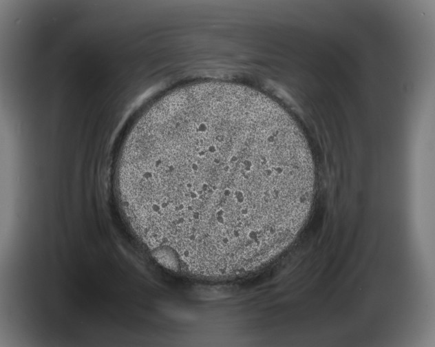 X0000086230679200704261857