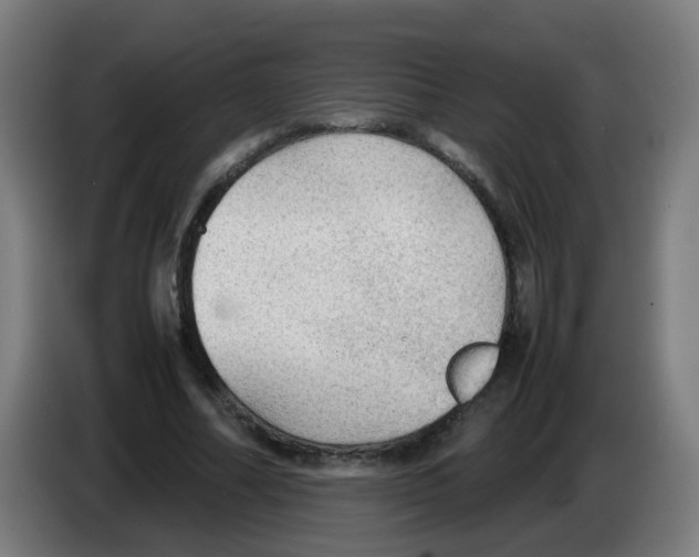 X0000086230682200704261856