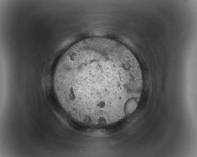 X0000086230683200704261856