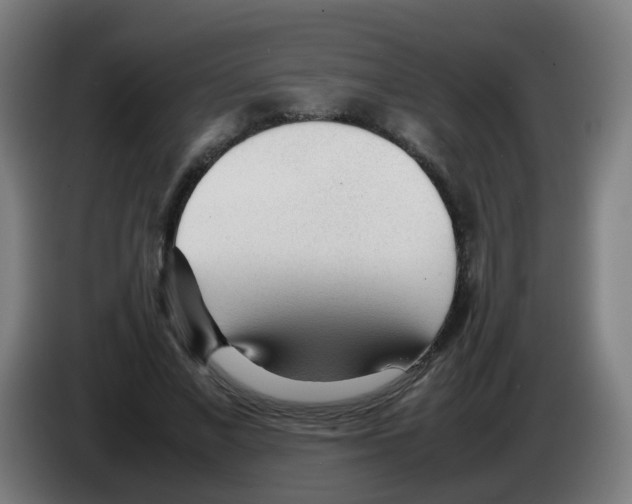 X0000086230685200704261856