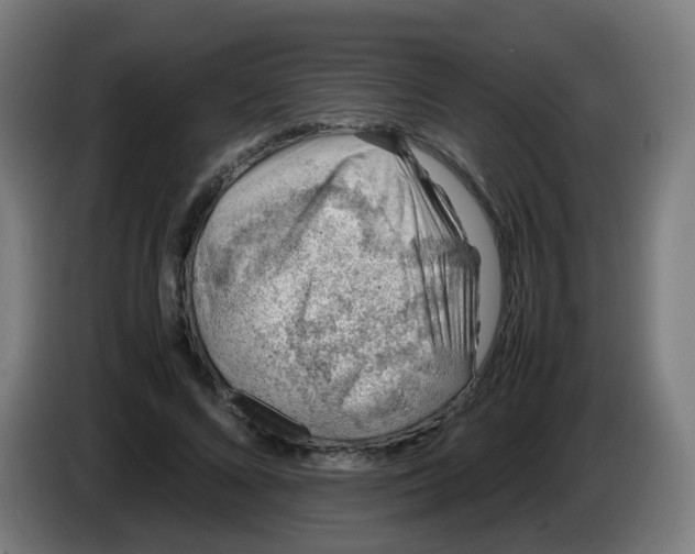 X0000086230688200704261856