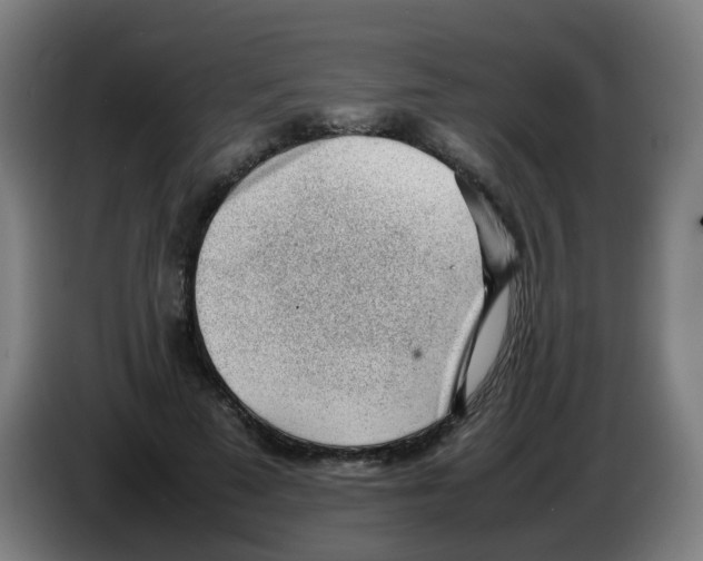 X0000086230689200704261856